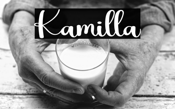 Kamilla Example 2