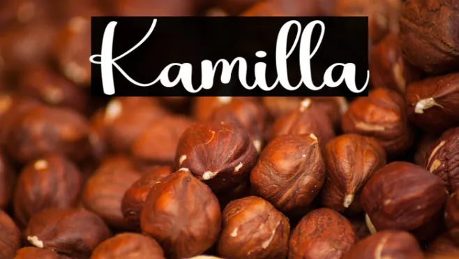 Kamilla Example 3