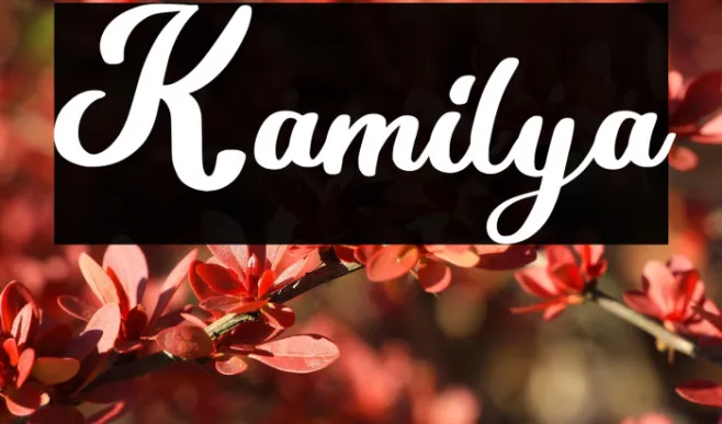 Kamilya Example 1