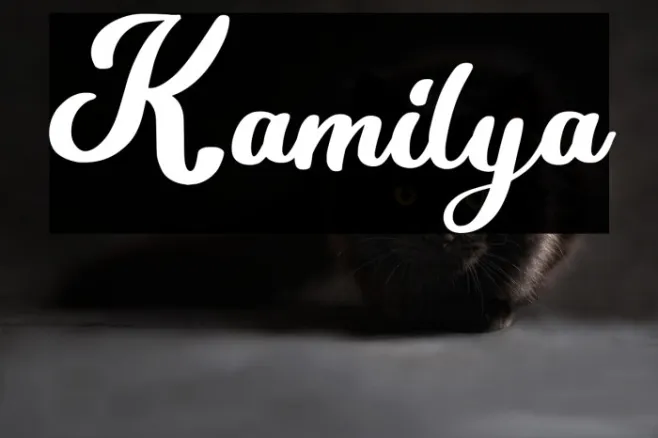 Kamilya Example 2