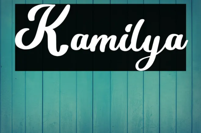 Kamilya Example 3