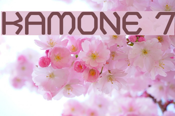 Kamone 7 Example 1