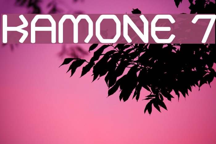 Kamone 7 Example 2