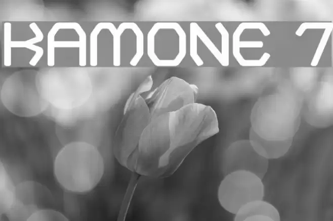 Kamone 7 Font examples