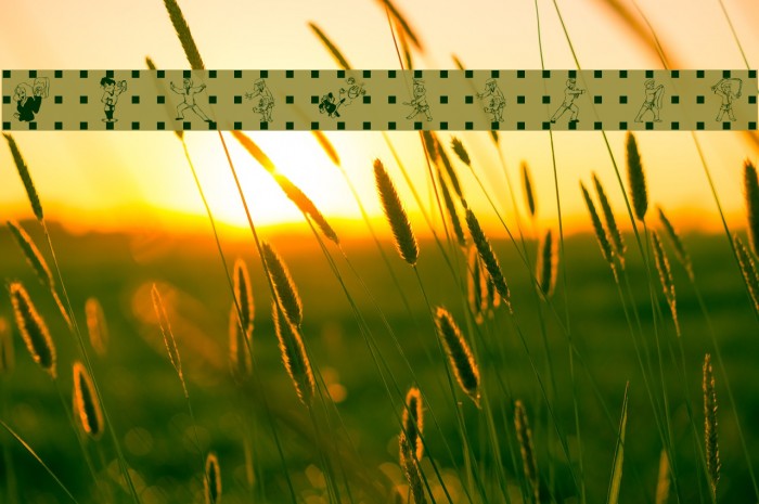 Kampfsport Example 2