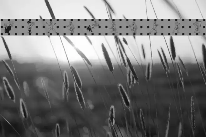 Kampfsport Font examples