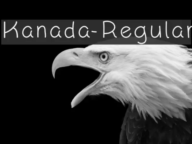 Kanada-Regular Font examples