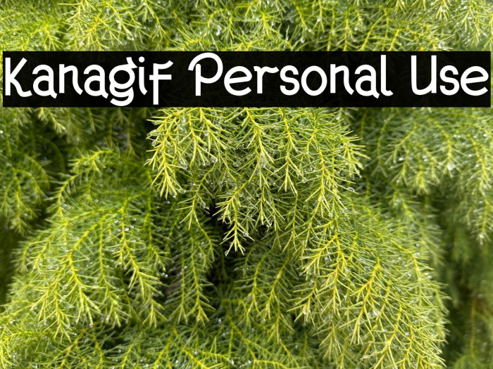Kanagif Personal Use Example 3