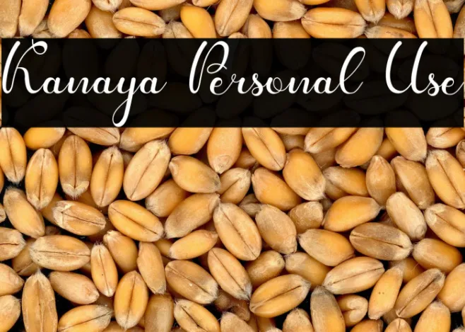 Kanaya Personal Use Example 1