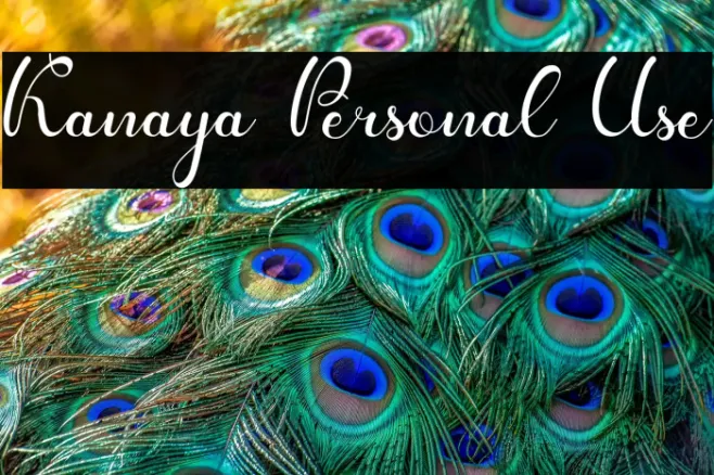 Kanaya Personal Use Example 2