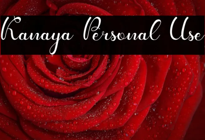 Kanaya Personal Use Example 3