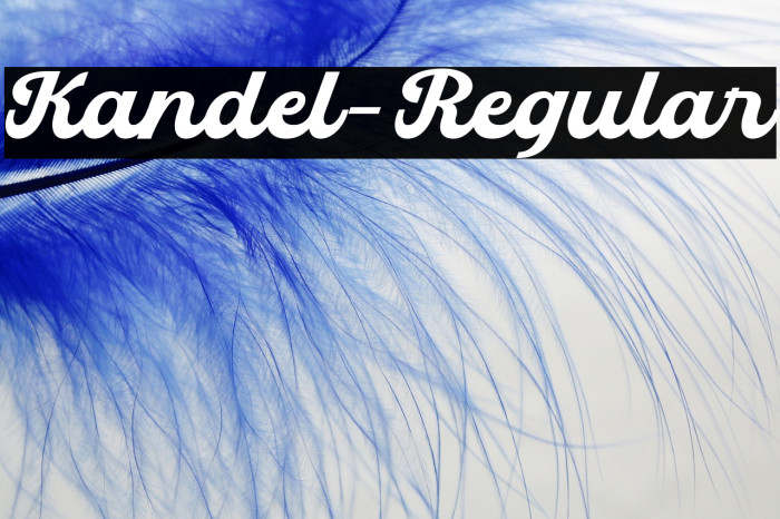 Kandel-Regular Example 1