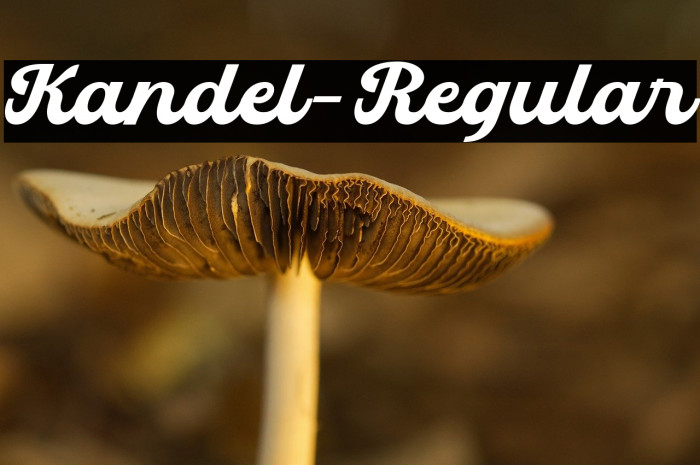 Kandel-Regular Example 3
