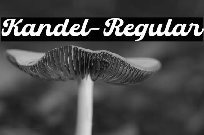 Kandel-Regular Font examples
