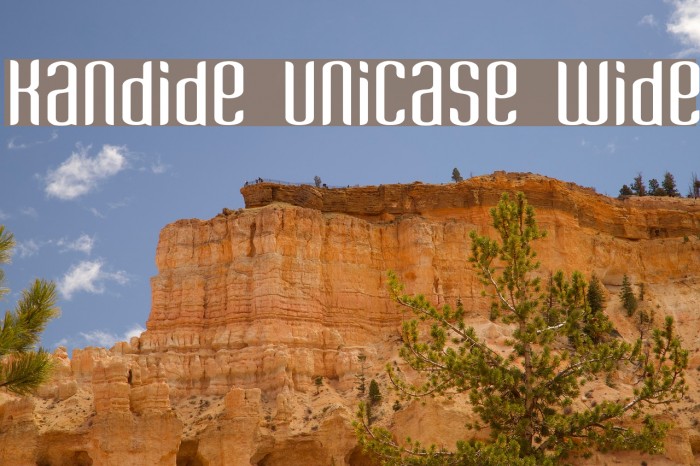 Kandide Unicase Wide Font examples