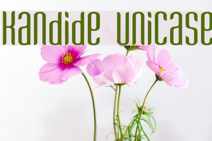 Kandide Unicase Font examples