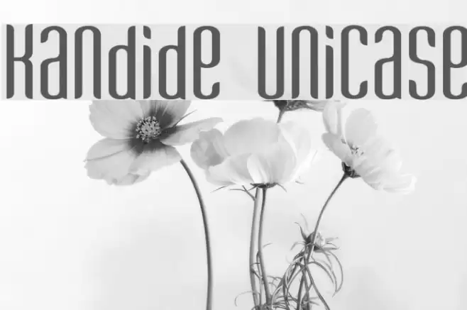 Kandide Unicase Шрифта examples