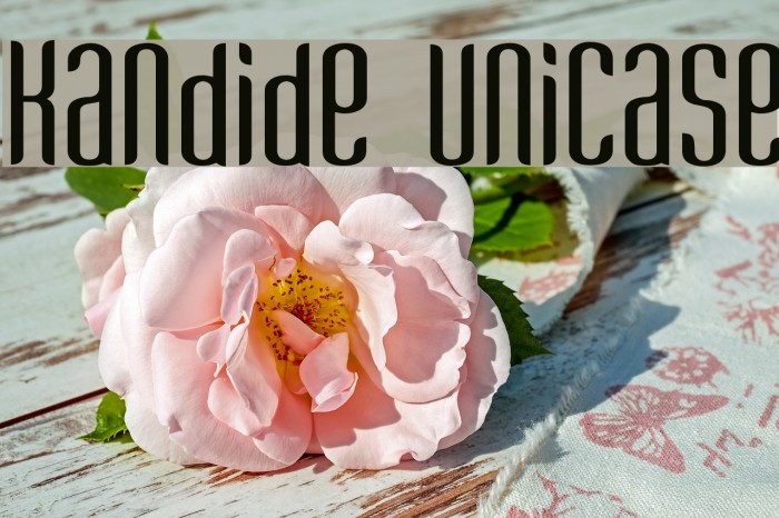 Kandide Unicase Font examples