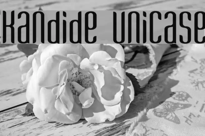 Kandide Unicase Шрифта examples