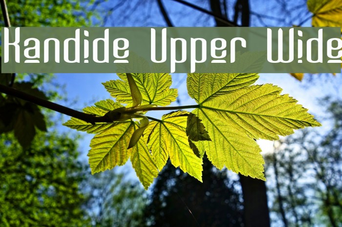 Kandide Upper Wide Font examples