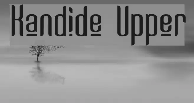 Kandide Upper フォント examples