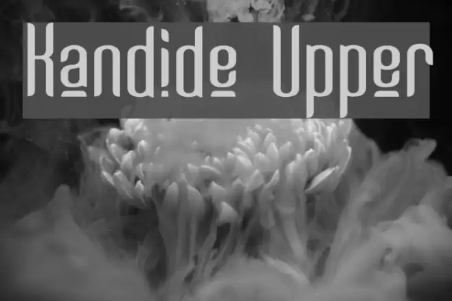 Kandide Upper フォント examples