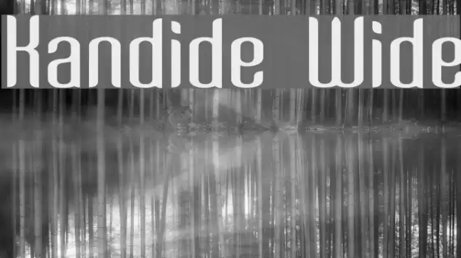 Kandide Wide Fonte examples