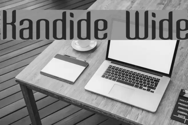 Kandide Wide Fonte examples
