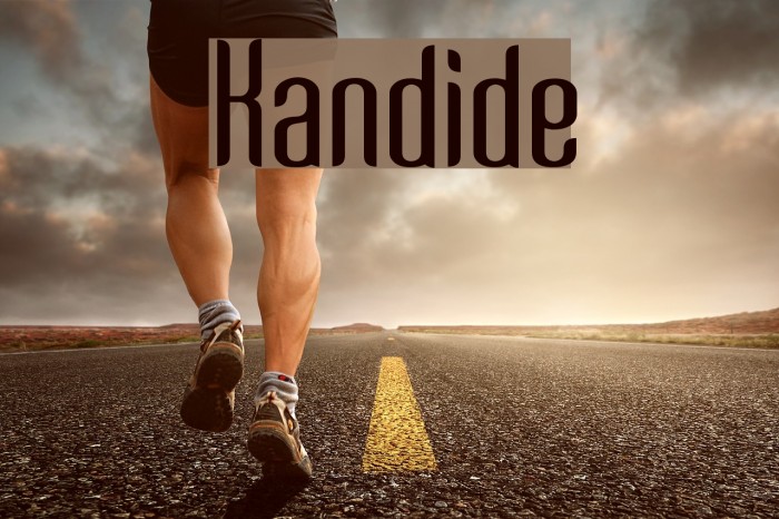 Kandide Font examples