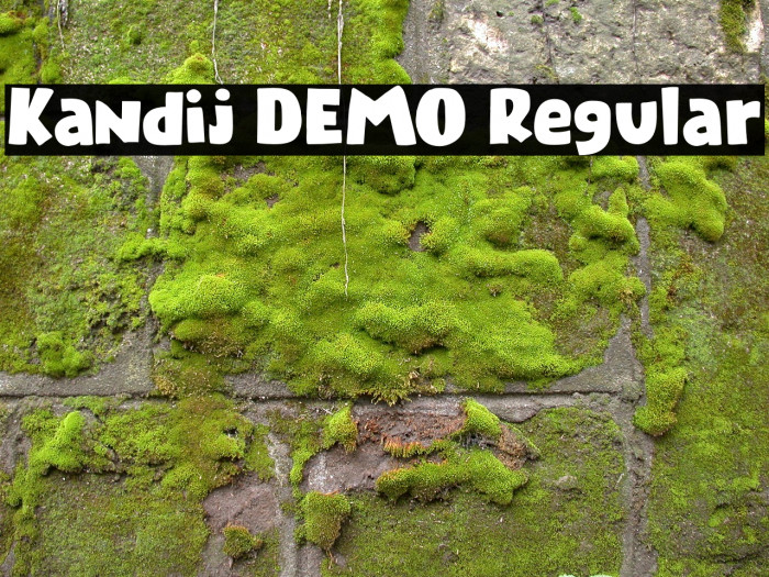 Kandij DEMO Regular Example 1