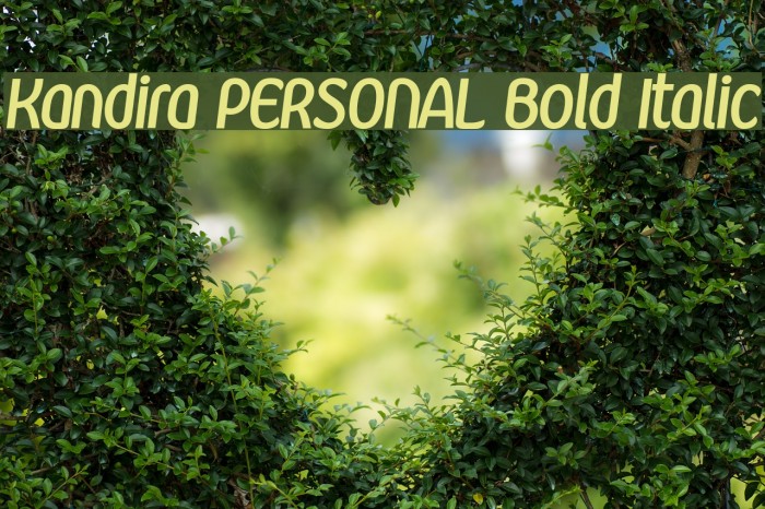 Kandira PERSONAL Bold Italic Font examples