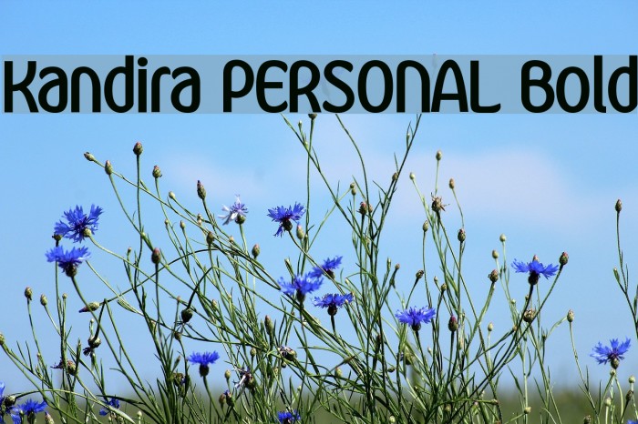 Kandira PERSONAL Bold Example 1