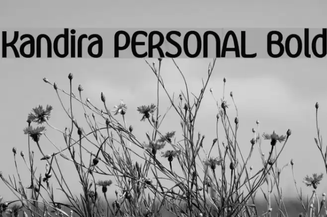 Kandira PERSONAL Bold Font examples