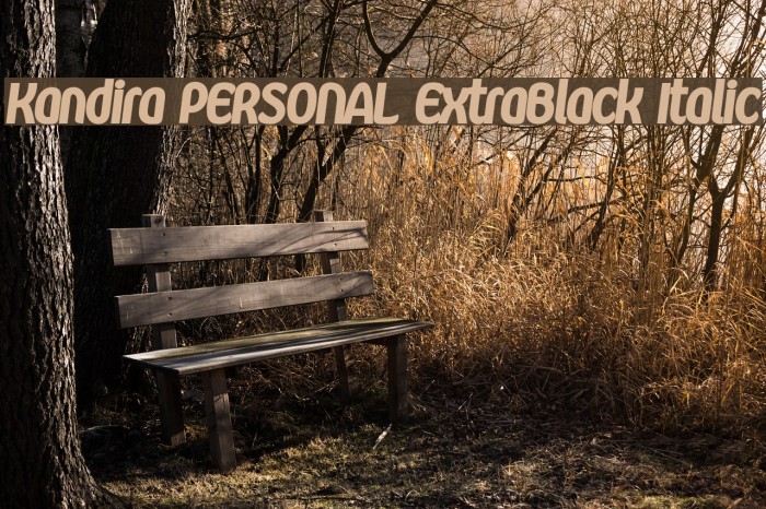 Kandira PERSONAL ExtraBlack Italic Font examples