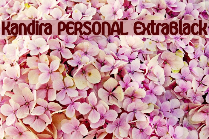 Kandira PERSONAL ExtraBlack Font examples