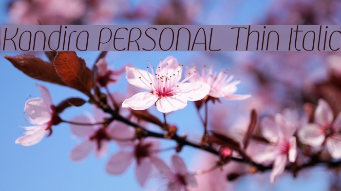 Kandira PERSONAL Thin Italic Font examples