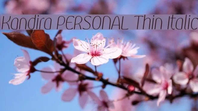 Kandira PERSONAL Thin Italic Example 3