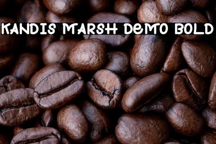 Kandis Marsh Demo Bold Example 3