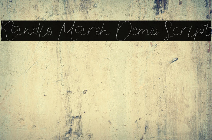 Kandis Marsh Demo Script Example 1