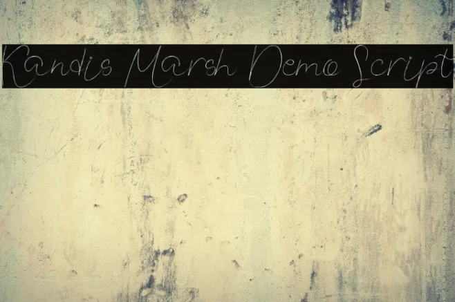 Kandis Marsh Demo Script Example 1