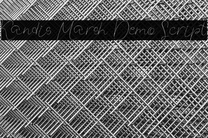 Kandis Marsh Demo Script Example 2