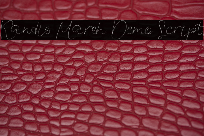 Kandis Marsh Demo Script Example 3