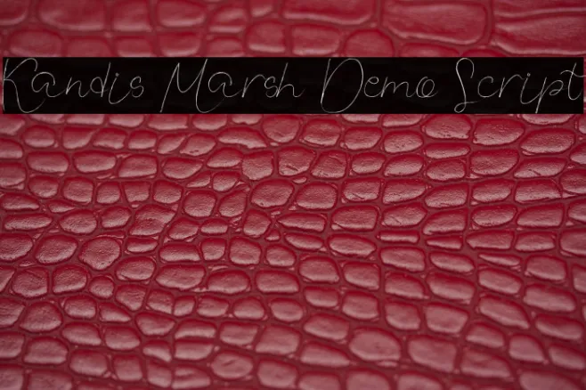 Kandis Marsh Demo Script Example 3