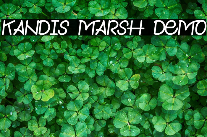 Kandis Marsh Demo Example 2