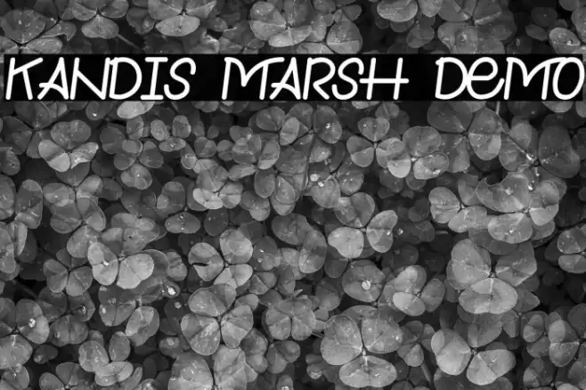 Kandis Marsh Demo Font examples