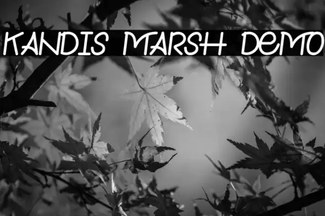 Kandis Marsh Demo Font examples