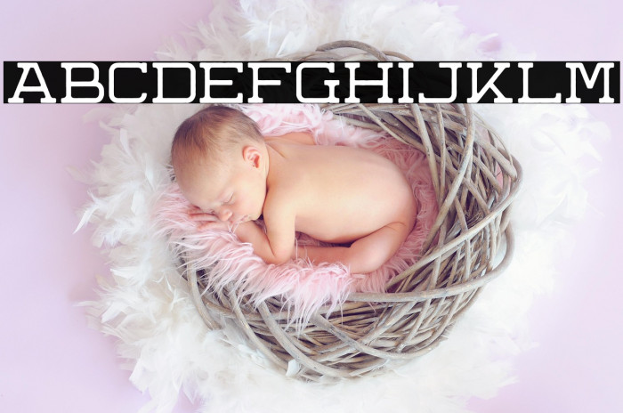 KaneStampStyleDemo Example 3