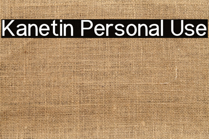 Kanetin Personal Use Example 2