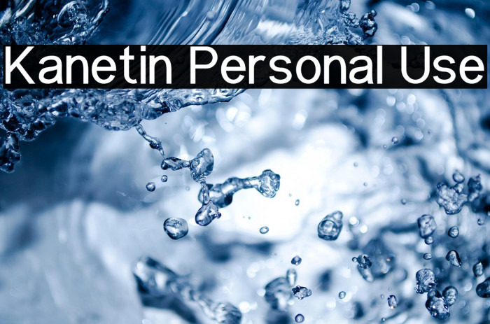 Kanetin Personal Use Example 3