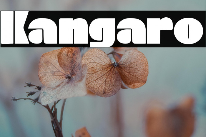 Kangaro フォント examples